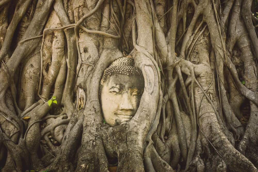 วัดในอยุธยา