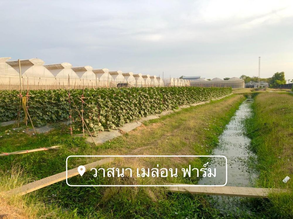 เที่ยวอยุธยา