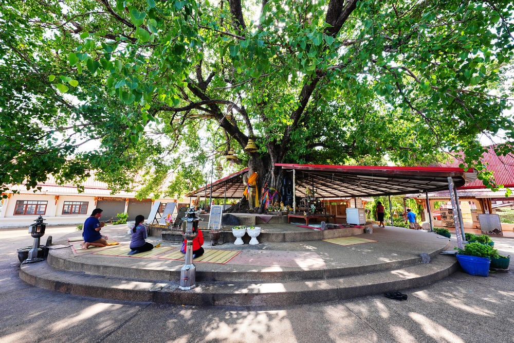 ที่เที่ยวมหาสารคาม