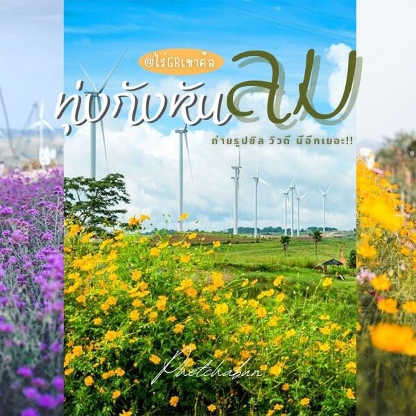ไร่ GB ทุ่งกังหันลมเขาค้อ