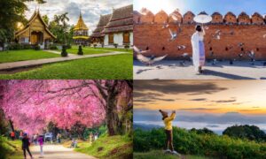 ภาพตัดปะแสดงสถานที่ท่องเที่ยวในเชียงใหม่—วัดไทย หญิงสาวกับนกพิราบใกล้กำแพงอิฐ ผู้คนใต้ต้นซากุระ และใครบางคนกำลังถ่ายภาพพระอาทิตย์ขึ้นเหนือภูเขา.