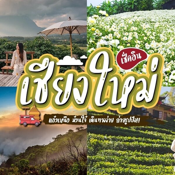 ภาพตัดต่อของทิวทัศน์เชียงใหม่: ทิวทัศน์ภูเขา, ทุ่งดอกไม้, ป่าไม้หมอก, และผู้หญิงกำลังถ่ายรูป, พร้อมข้อความภาษาไทยขนาดใหญ่ในกลางภาพที่ระบุว่า ที่เที่ยวเชียงใหม่.