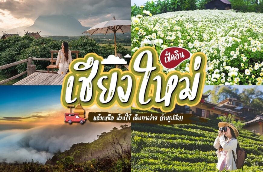 ภาพตัดต่อของทิวทัศน์เชียงใหม่: ทิวทัศน์ภูเขา, ทุ่งดอกไม้, ป่าไม้หมอก, และผู้หญิงกำลังถ่ายรูป, พร้อมข้อความภาษาไทยขนาดใหญ่ในกลางภาพที่ระบุว่า ที่เที่ยวเชียงใหม่.