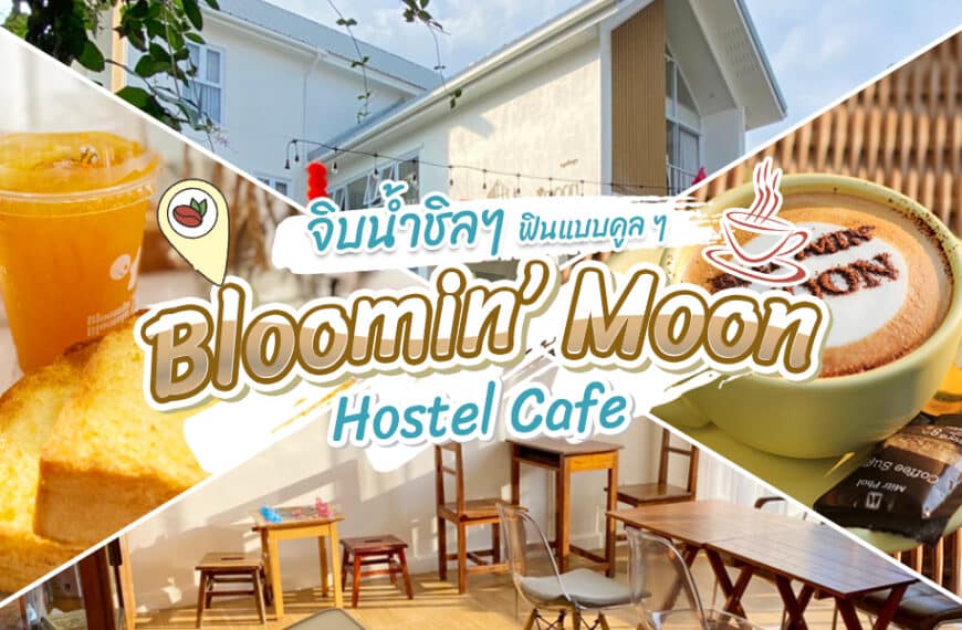 Bloomin Moon Hostel Cafe
