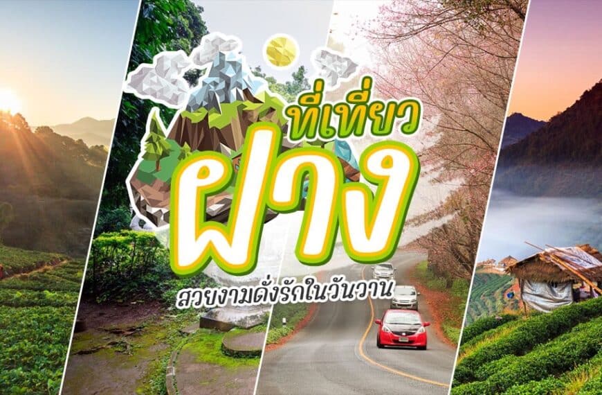 ภาพปะติดของถนนและภูเขา