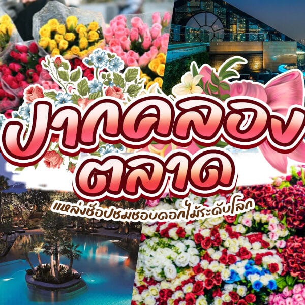 ภาพปะติดดอกไม้ที่มีทิวทัศน์ของเมืองเป็นฉากหลัง โดยมีร้านดอกไม้ปากคลองตลาด