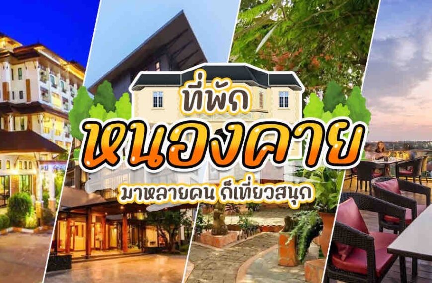 ค้นพบโรงแรมและรีสอร์ทที่ดีที่สุดของประเทศไทย ตั้งอยู่ในจังหวัดหนองคายที่สวยงาม