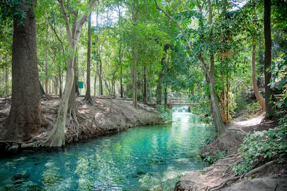 แม่น้ำสีฟ้าที่ล้อมรอบด้วยต้นไม้ในพื้นที่ป่า ที่เที่ยวเขาใหญ่