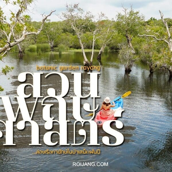 หน้าปกหนังสือเรื่องแม่น้ำอูวาตาวี