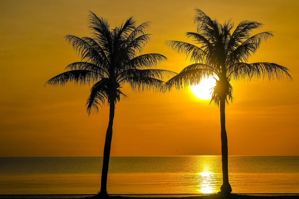 เงาต้นปาล์มสองต้นตัดกับพระอาทิตย์ตก ณ สถานที่ท่องเที่ยวยอด ที่เที่ยวหาดใหญ่ นิยมของจังหวัดราชบุรี