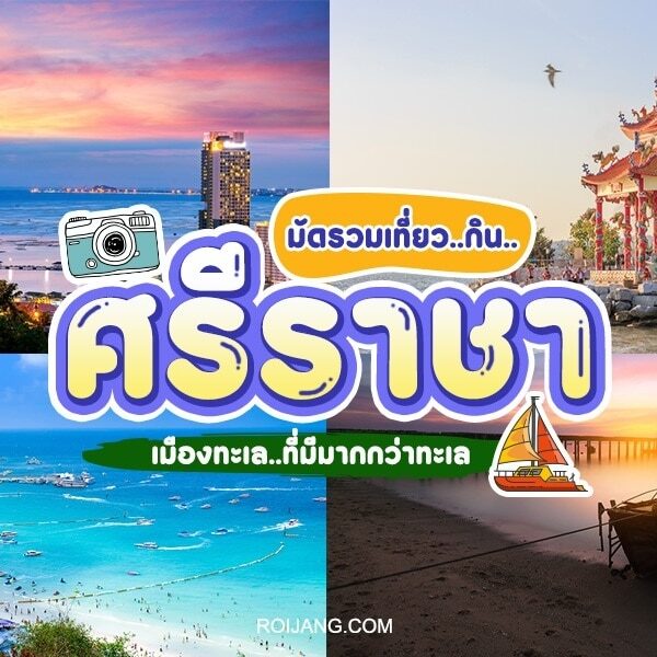 ภาพตัดปะของ ศรีราชาที่เที่ยว แสดงหาดทราย, พระพุทธรูปขนาดใหญ่, ศาลเจ้า, และเรือบนน้ำ, พร้อมข้อความภาษาไทยที่ส่งเสริมการท่องเที่ยวในศรีราชา.