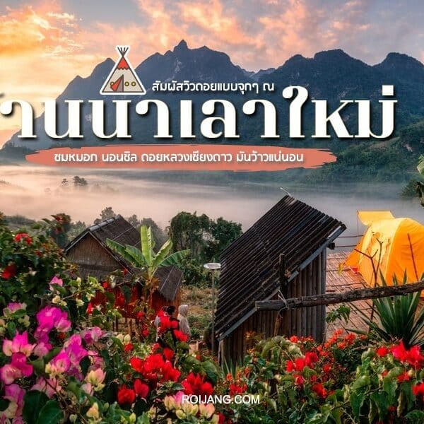 ภาพยามเช้าอันเงียบสงบกับพระภิกษุที่มองเห็นทิวทัศน์ที่ปกคลุมไปด้วยหมอกจากระเบียงเรียบง่ายที่รายล้อมไปด้วยดอกไม้ที่บ้านนาเลาใหม่