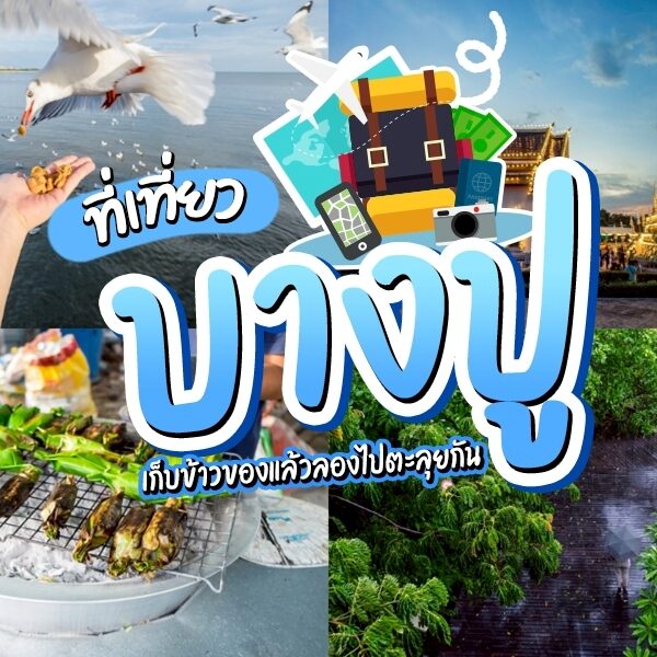 ภาพตัดต่อเพื่อส่งเสริมบางปู ประเทศไทย โดยมี สถานตากอากาศบางปู พร้อมการให้อาหารนกด้วยมือ, วัด, อาหารริมทางที่กำลังย่าง, และทิวทัศน์ของพื้นที่ชุ่มน้ำ ข้อความภาษาไทยเน้น ที่เที่ยวบางปู และกิจกรรมท่องเที่ยวท้องถิ่น.