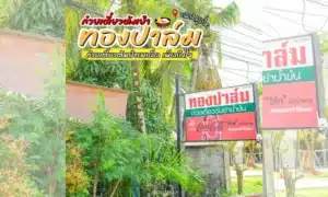 ป้ายร้านอาหารภาษาไทย รวมถึง ทองปาล์มก๋วยเตี๋ยวต้มยำน้ำข้น ถูกจัดแสดงท่ามกลางต้นไม้สีเขียว โฆษณาบะหมี่และโปรโมชั่นโคคา-โคล่าใกล้ทางเข้า.