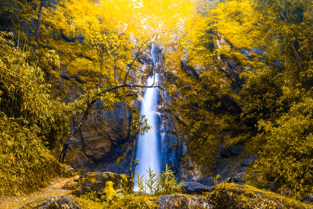 น้ำตกไหลลดหลั่นลงมาตามหน้าผาหินที่ล้อมรอบด้วยพุ่มไม้หนาแน่นซึ่งมีสีเหลืองสดใส ภายใต้ท้องฟ้าที่ส่องแสงระยิบระยับ—เหมาะสำหรับผู้ที่กำลังค้นหาสถานที่ท่องเที่ยวในกาญจนบุรีและความงดงามตามธรรมชาติของภูมิภาคนี้.