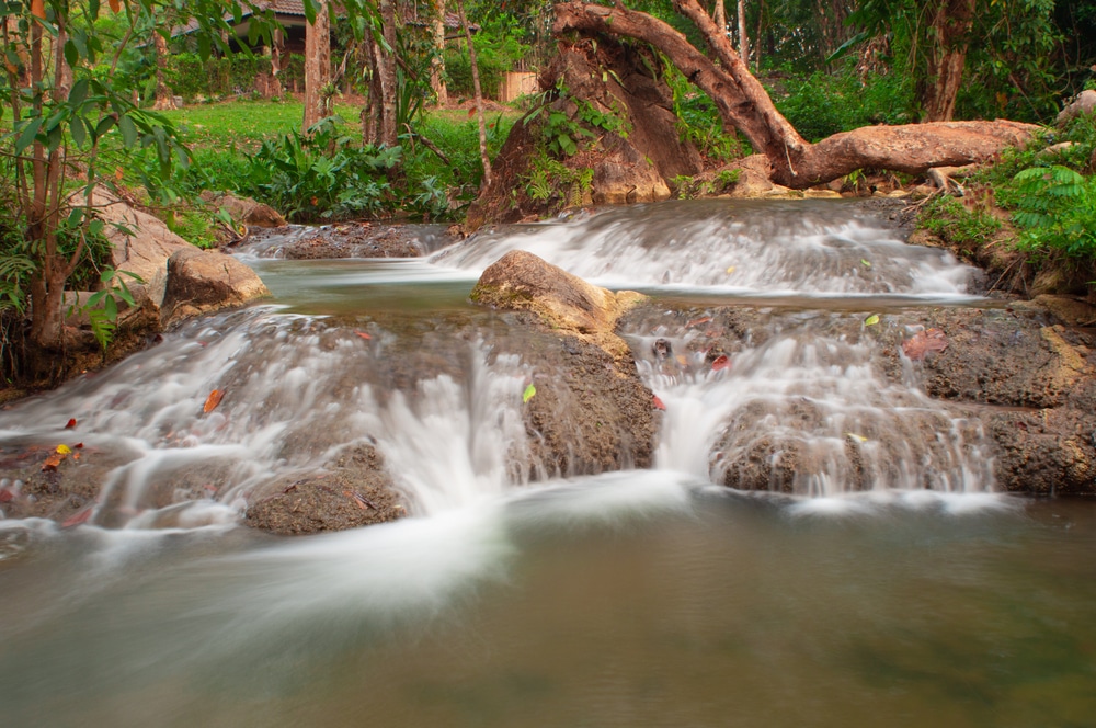 น้ำตกขนาดเล็กไหลผ่านโขดหินในบริเวณป่าที่มีใบไม้สีเขียวและลำต้นไม้ที่โค้งงอเป็นฉากหลัง สร้างบรรยากาศที่เงียบสงบเหมาะสำหรับผู้ที่กำลังมองหาสถานที่ท่องเที่ยวในกาญจนบุรี.