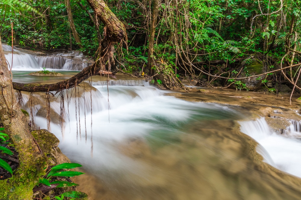 น้ำตกขนาดเล็กไหลผ่านป่าเขียวชอุ่มในหนึ่งในสถานที่ท่องเที่ยวที่เงียบสงบที่สุดในกาญจนบุรี น้ำใสไหลผ่านหินเรียบและรากไม้ที่ห้อยอยู่เหนือลำธาร.