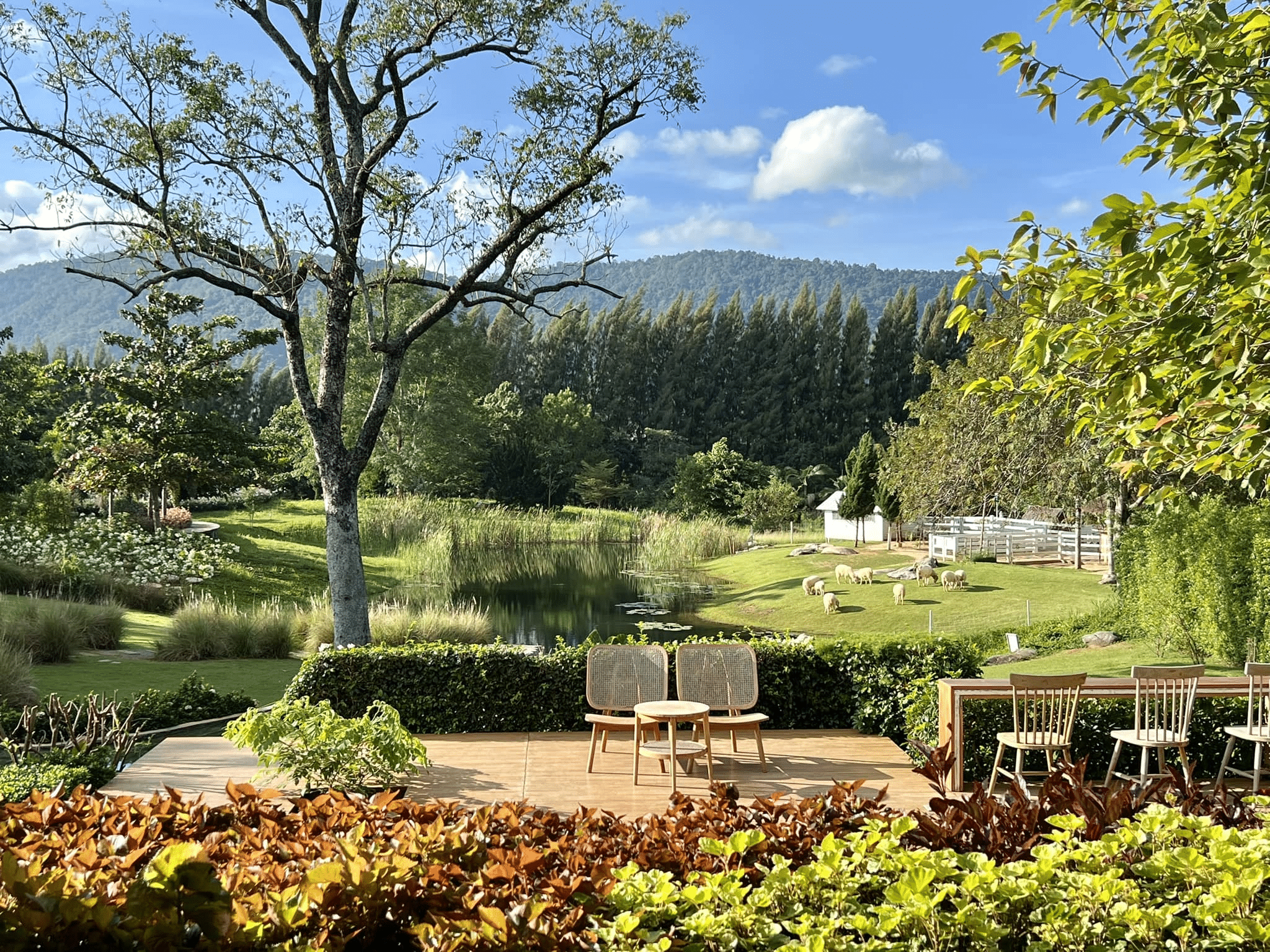 ลานระเบียงที่มีเก้าอี้สองตัวและโต๊ะเล็ก ๆ ตั้งอยู่เหนือทิวทัศน์ที่สวยงาม มีสระน้ำ ต้นไม้ ภูเขาที่ทอดยาว และแกะกำลังกินหญ้าอยู่—เหมาะสำหรับการผ่อนคลายหลังจากวันที่เหนื่อยล้าจากการท่องเที่ยวที่เขาใหญ่.