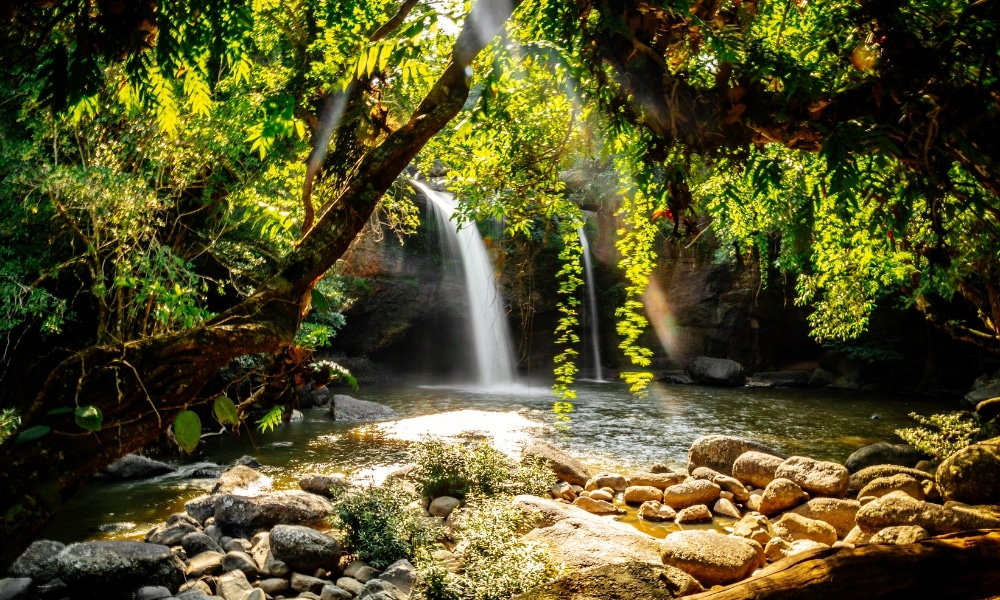 น้ำตกไหลลงสู่แอ่งน้ำหินที่ล้อมรอบด้วยต้นไม้เขียวชอุ่ม พร้อมแสงแดดที่ส่องผ่านใบไม้—หนึ่งในสถานที่ท่องเที่ยวที่สวยงามที่สุดของเขาใหญ่ที่ควรไปสำรวจ.