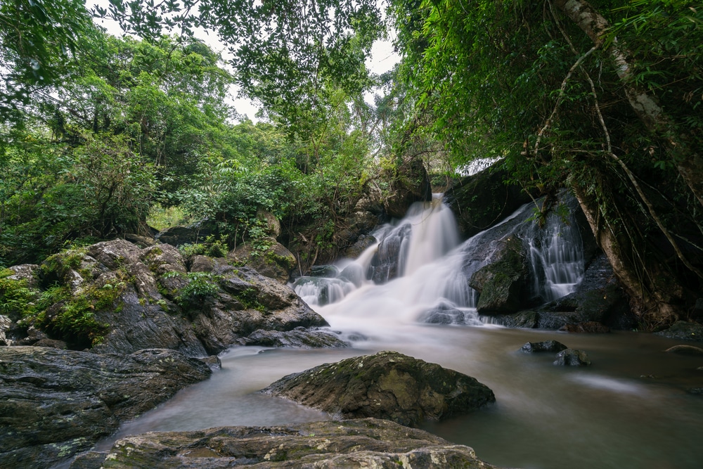 น้ำตกขนาดเล็กไหลผ่านโขดหินที่ล้อมรอบด้วยป่าเขียวชอุ่มใน เขาใหญ่ที่เที่ยว โดยมีน้ำใสไหลเอื่อยอยู่เบื้องหน้าและแสงแดดส่องผ่านต้นไม้ลงมา.