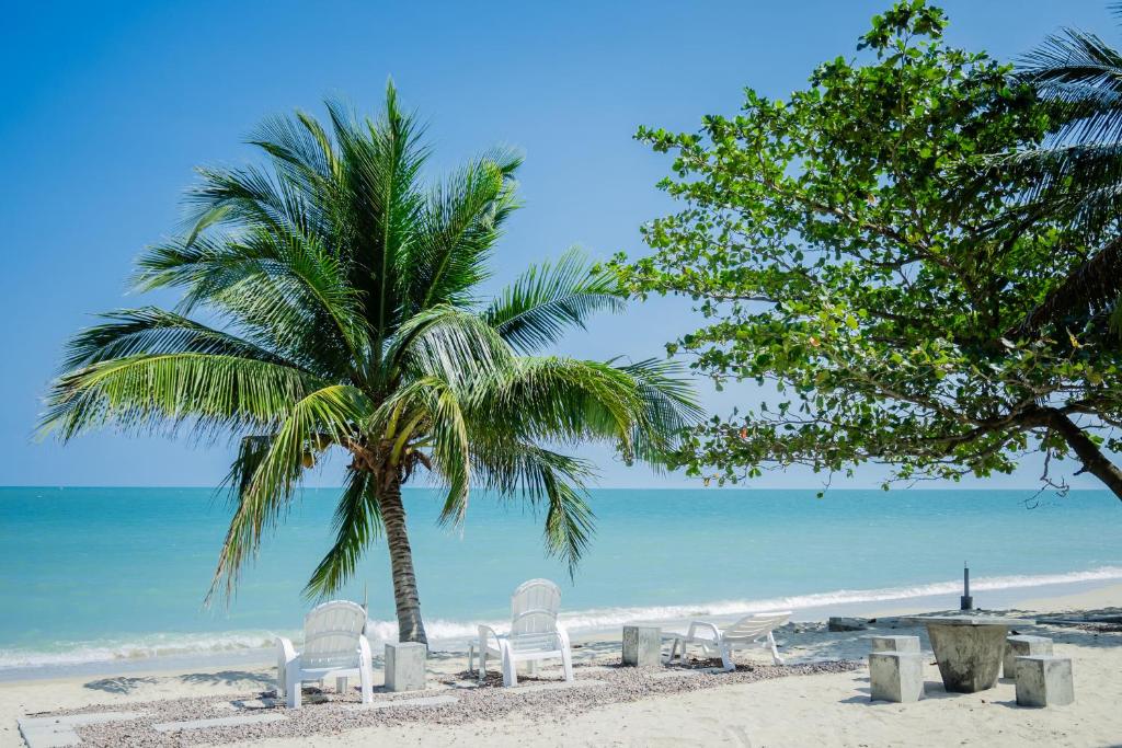 เก้าอี้และโต๊ะสีขาวถูกจัดวางบนชายหาดทรายใต้ต้นปาล์ม หันหน้าสู่ทะเลสีฟ้าสงบและท้องฟ้าแจ่มใส—เหมาะอย่างยิ่งสำหรับการพักผ่อนที่ โรงแรมขนอม หรือค้นพบ ที่พักขนอม ที่คุณใฝ่ฝัน.