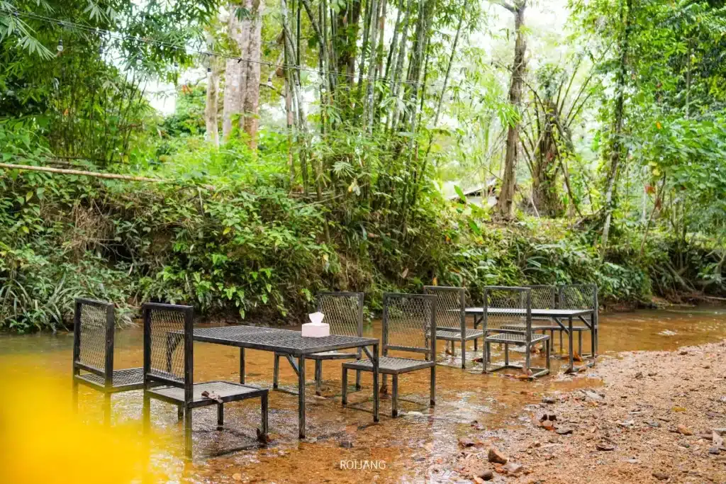 โต๊ะและเก้าอี้โลหะถูกจัดวางไว้ในลำธารตื้นที่ล้อมรอบด้วยพืชพรรณสีเขียวหนาแน่น โดยมีกล่องกระดาษทิชชูวางอยู่บนโต๊ะหนึ่ง สร้างบรรยากาศที่สงบสุข.
