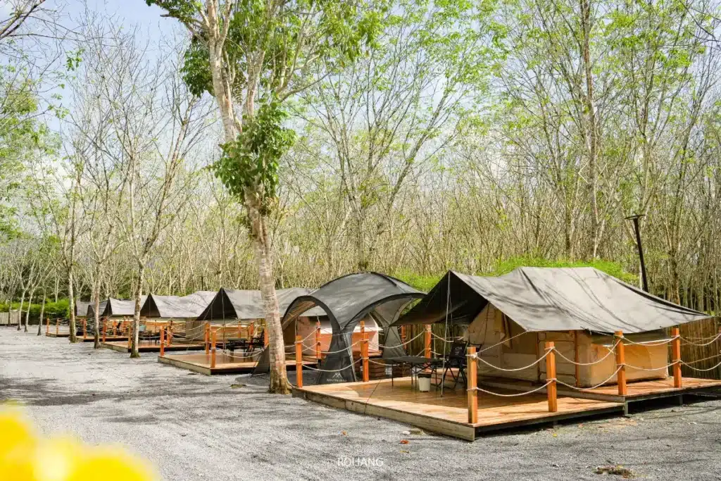 เต็นท์ผ้าใบหลายหลังถูกตั้งเรียงกันบนแท่นไม้ท่ามกลางต้นไม้ สร้างบรรยากาศแคมป์หรูพร้อมที่นั่งกลางแจ้งสำหรับแต่ละเต็นท์ ที่ซึ่งแขกสามารถผ่อนคลายและสัมผัสความสุขท่ามกลางธรรมชาติ.