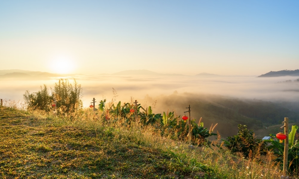 พระอาทิตย์ขึ้นเหนือหุบเขาที่ปกคลุมด้วยหมอก ณ สถานที่ท่องเที่ยวม่อนแจ่ม พร้อมด้วยภูเขา ต้นไม้สีเขียว และดอกไม้สีแดงในเบื้องหน้า ภายใต้ท้องฟ้าสีครามสดใส.