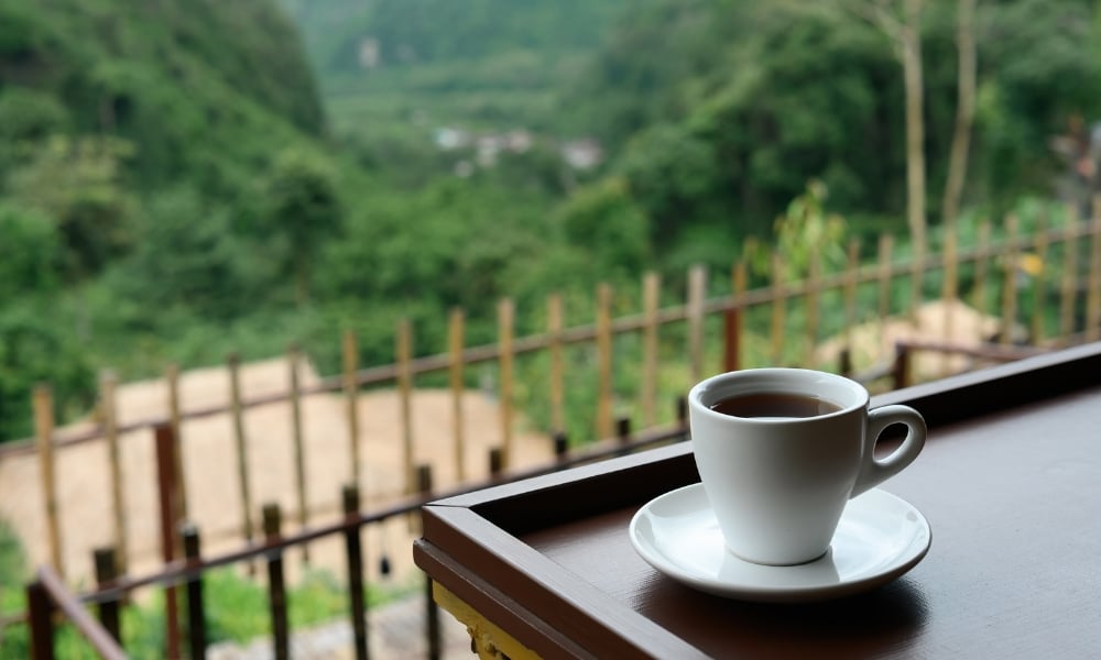 ถ้วยกาแฟสีขาววางอยู่บนจานรอง ตั้งอยู่บนโต๊ะไม้ มองออกไปยังทิวทัศน์สีเขียวขจีของภูเขาที่ม่อนแจ่ม พร้อมรั้วไม้ไผ่เป็นฉากหลัง.
