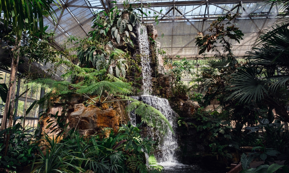 น้ำตกไหลผ่านโขดหินที่ล้อมรอบด้วยพืชเขตร้อนหนาแน่นภายในเรือนกระจกที่มีหลังคาเป็นกระจกและโครงเหล็ก ซึ่งทำให้นึกถึงทิวทัศน์อันเขียวชอุ่มที่ ม่อนแจ่มที่เที่ยว.