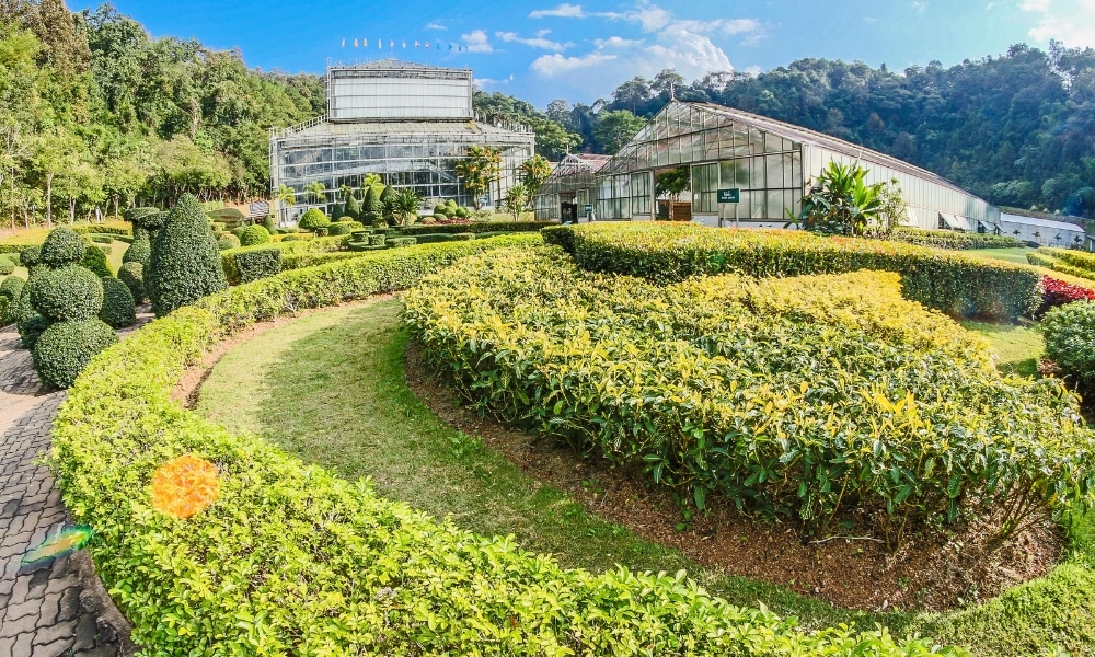 สวนที่จัดแต่งอย่างสวยงามพร้อมพุ่มไม้และไม้พุ่มที่ตัดแต่งอย่างประณีตอยู่ด้านหน้าเรือนกระจกขนาดใหญ่สองหลัง ตั้งอยู่ท่ามกลางเนินเขาที่ปกคลุมไปด้วยป่าไม้ภายใต้ท้องฟ้าสีคราม—เหมาะอย่างยิ่งสำหรับผู้ที่มองหา ม่อนแจ่มที่เที่ยว หรือสำรวจ ที่เที่ยวม่อนแจ่ม.