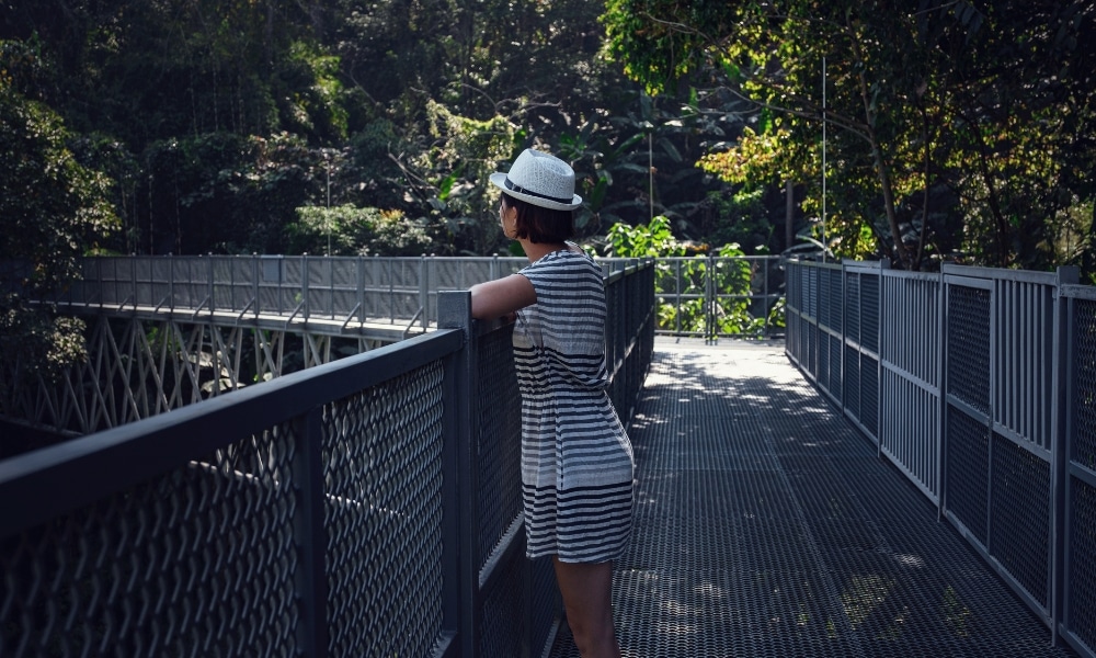 บุคคลหนึ่งสวมชุดลายทางและหมวกยืนอยู่บนสะพานเหล็กที่ ม่อนแจ่มที่เที่ยว มองออกไปยังพื้นที่สีเขียวและต้นไม้โดยรอบ.