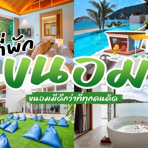 รวม ที่พักขนอม พักผ่อน ขนอมที่พัก สุดฮอต โลเคชั่นนครศรีห้ามพลาด เหมาะกับการหลีกหนีความวุ่นวายจากเมืองใหญ่ ตื่นเช้ามาชมพระอาทิตย์ขึ้นริมทะเล อันดามัน