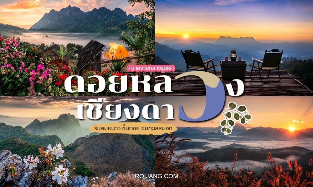 ภาพตัดต่อของทิวทัศน์ที่สวยงามจากดอยหลวงเชียงดาว, สถานที่ท่อง เที่ยวเชียงใหม่ ยอดนิยม, ที่มีภูเขา, หมอก, ดอกไม้, และที่นั่งกลางแจ้งในตอนเช้าหรือตอนเย็น, พร้อมข้อความภาษาไทยทับอยู่.