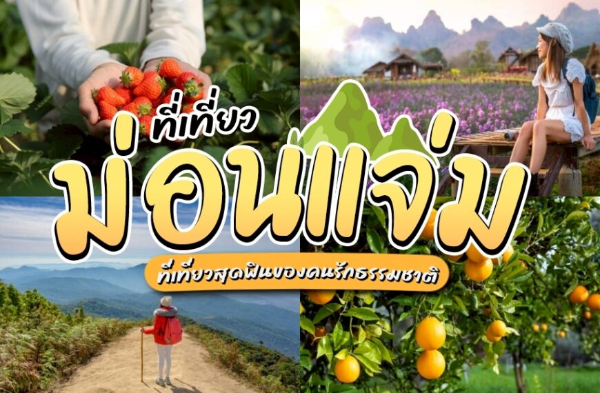 แนะนำ ที่เที่ยวม่อนแจ่ม อัปเดตวิวภูเขาหมอกสวย เที่ยวฟินทุกฤดู!! เที่ยวม่อนแจ่ม จะกลายเป็นลิสต์อันดับต้น ๆ สน่ห์ของม่อนแจ่มคือความเรียบง่ายแต่ไม่จำเจ ฟินๆ