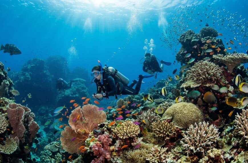 นักดำน้ำสามคนกำลังสำรวจแนวปะการังที่มีชีวิตชีวา ล้อมรอบด้วยปลาหลากสีและปะการังหลากหลายชนิด ใต้ผืนน้ำสีฟ้าใสที่แสงแดดส่องผ่านลงมา.