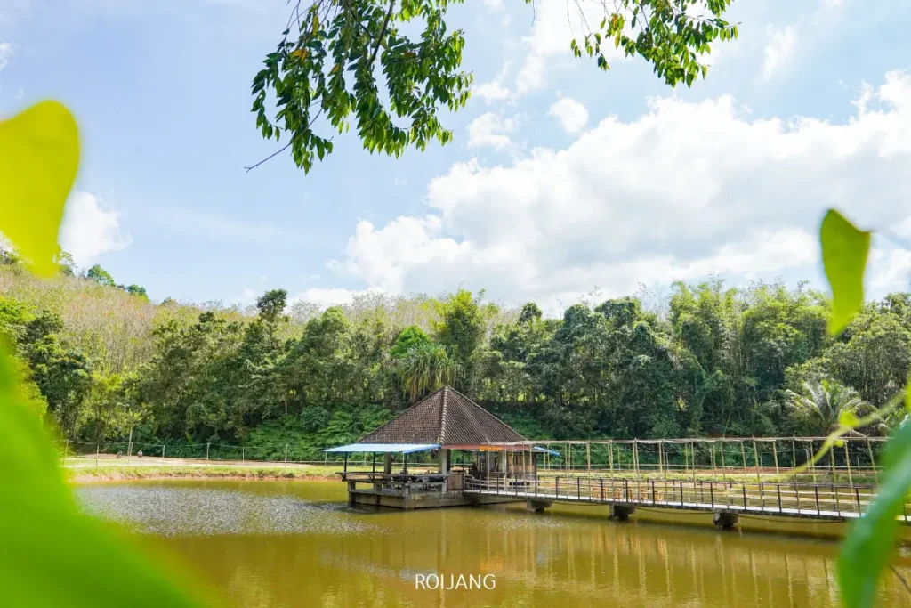 ศาลาไม้หลังคาปั้นหยาตั้งอยู่เหนือสระน้ำในหุบเขาหมอก เชื่อมต่อด้วยสะพานและล้อมรอบด้วยต้นไม้และพืชพรรณเขียวขจีใต้ท้องฟ้าที่มีเมฆบางส่วน.