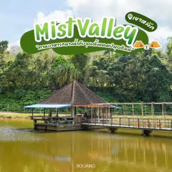 รีวิว Mist Valley เขาหลัก พังงา: จุดหมายปลายทางคาเฟ่ แคมป์ปิ้ง และ Adventure อย่างสมบูรณ์แบบ