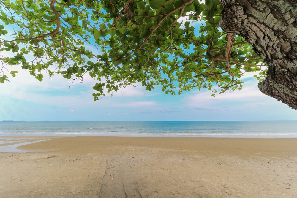 ชายหาดทรายที่มีคลื่นเบา ๆ และ ที่เที่ยวใกล้กรุงเทพ ทะเลสงบ ร่มรื่นด้วยต้นไม้ใบเขียวใต้ท้องฟ้าที่มีเมฆบางส่วน—เหมาะสำหรับสถานที่ท่องเที่ยวธรรมชาติใกล้กรุงเทพฯ ที่ต้องการพักผ่อนนอกเมือง.