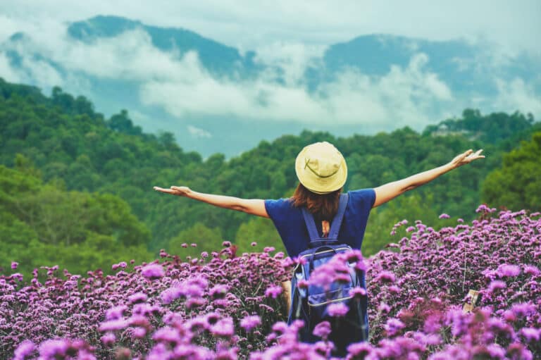 บุคคลที่สะพายกระเป๋าเป้และสวมหมวกยืนอยู่ในทุ่งดอกไม้สีม่วงพร้อมแขนที่เหยียดออก หันหน้าไปทางภูเขาสีเขียวภายใต้ท้องฟ้าที่มีเมฆปกคลุม ณ ม่อนแจ่มที่เที่ยว หนึ่งในสถานที่ท่องเที่ยวที่สวยงามที่สุดในม่อนแจ่มในประเทศไทย.