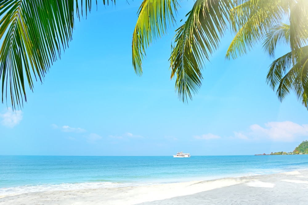 ใบปาล์มล้อมรอบทัศนียภาพของชายหาดทราย ทะเลสีฟ้าสงบ และเรือสีขาวในระยะไกลภายใต้ท้องฟ้าแจ่มใส—เหมาะสำหรับคนรักธรรมชาติที่กำลังมองหาสถานที่ท่องเที่ยวใกล้กรุงเทพฯ.