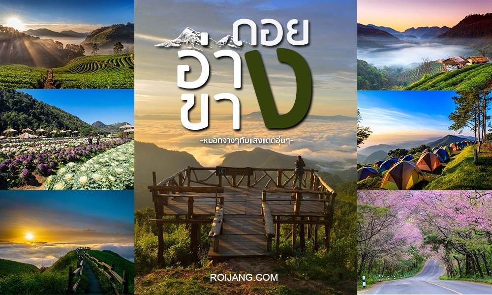 ภาพตัดต่อของทิวทัศน์ที่สวยงามในเชียงใหม่ ประกอบด้วยภูเขา, สวนดอกไม้, เต็นท์, ทิวทัศน์พระอาทิตย์ขึ้น, และต้นไม้ที่บานสะพรั่ง พร้อมข้อความภาษาไทยอยู่ตรงกลางที่ระบุว่า ที่เที่ยวเชียงใหม่.