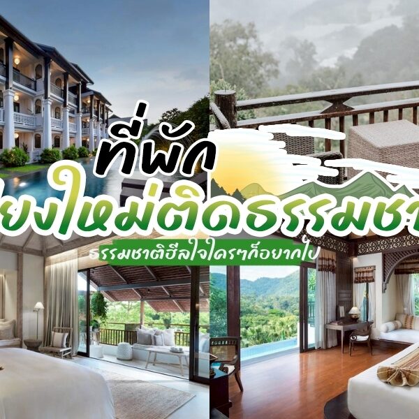 ที่พักเชียงใหม่ธรรมชาติ