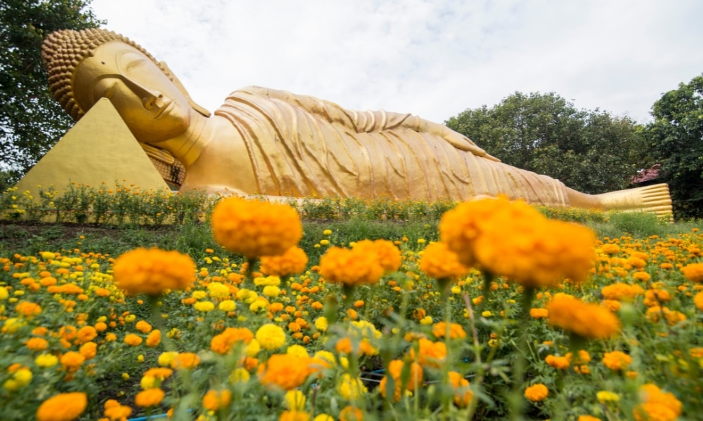 พระพุทธรูปปางไสวสุวรรณปางไสยาสน์ขนาดใหญ่ที่ล้อมรอบด้วยดอกดาวเรืองสีเหลืองสดใส มีต้นไม้และท้องฟ้าที่มีเมฆบางส่วนเป็นฉากหลัง—สถานที่ท่องเที่ยวที่โดดเด่นของบุรีรัมย์ที่ไม่ควรพลาดในการผจญภัยครั้งต่อไปของคุณที่บุรีรัมย์.