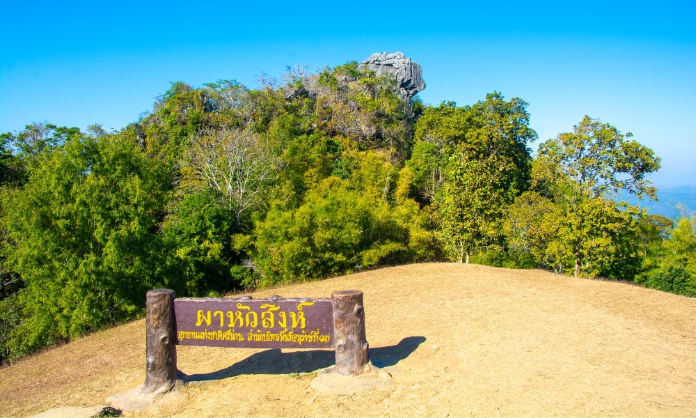 ป้ายไม้ที่มีข้อความภาษาไทยตั้งอยู่บนหญ้าแห้งหน้าต้นไม้และเนินเขาหินใต้ท้องฟ้าสีฟ้าใส สะท้อนบรรยากาศอันสงบของสถานที่ท่องเที่ยวในน่าน สำหรับผู้ที่ต้องการเที่ยวน่าน.