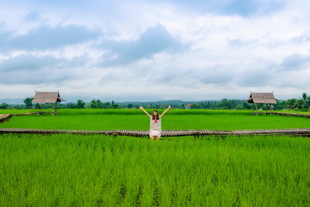 มีบุคคลหนึ่งสวมชุดสีขาว นั่งอยู่บนทางเดินไม้ในทุ่งนาสีเขียว โดยมีกระท่อมหลังคามุงจากสองหลังและท้องฟ้าที่มีเมฆครึ้มเป็นฉากหลัง — สะท้อนความงามอันสงบของหนึ่งในสถานที่ท่องเที่ยวยอดนิยมของจังหวัดน่าน สำหรับผู้ที่แสวงหาความงามและความสงบ.