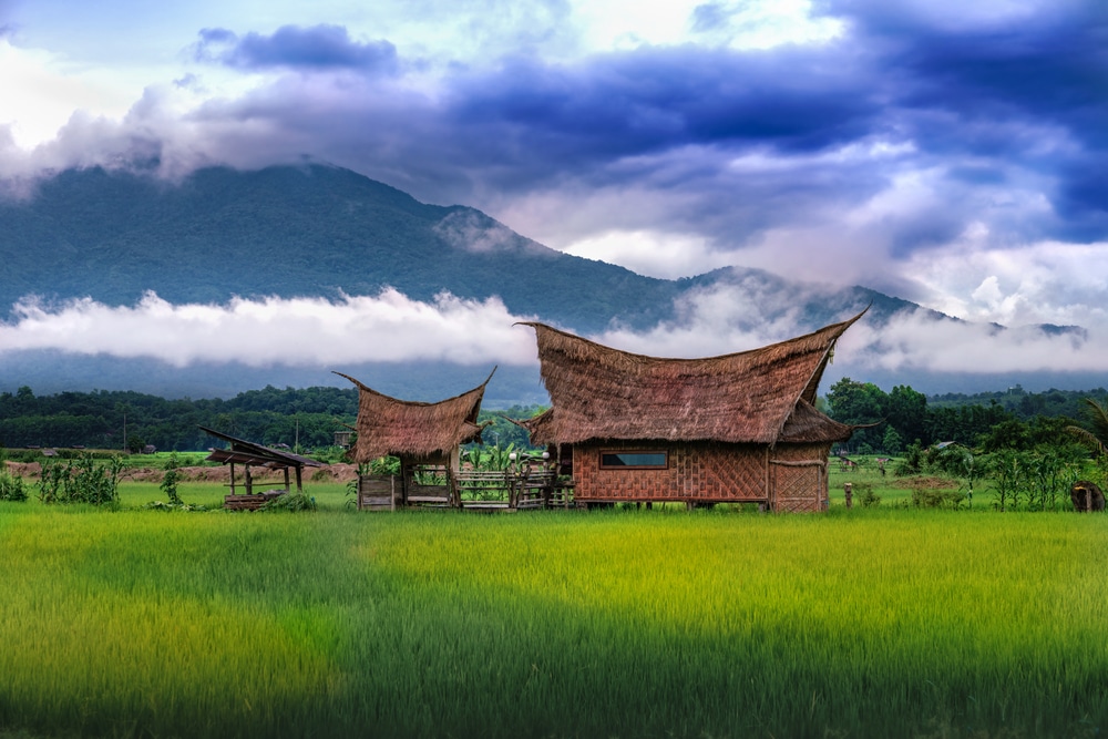 บ้านไม้หลังคาใบไม้แบบดั้งเดิมตั้งอยู่กลางทุ่งหญ้าสีเขียว โดยมีภูเขาที่ปกคลุมด้วยหมอกและเมฆเป็นฉากหลัง ท่ามกลางท้องฟ้าที่งดงามตระการตา สะท้อนเสน่ห์อันสงบของสถานที่ท่องเที่ยวน่าน และทำให้ที่นี่เป็นจุดหมายที่สมบูรณ์แบบสำหรับผู้ที่ต้องการเที่ยวน่านท่ามกลางความงามของธรรมชาติ.