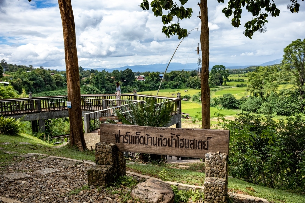 ลานชมวิวทำจากไม้ที่มองเห็นทุ่งหญ้าสีเขียวและต้นไม้ใต้ท้องฟ้าที่มีเมฆบางส่วน; มีป้ายเขียนด้วยอักษรไทยอยู่ด้านหน้า ทำให้ที่นี่เป็นจุดที่สมบูรณ์แบบสำหรับผู้ที่ต้องการเที่ยวเมืองน่าน หรือค้นพบสถานที่ท่องเที่ยวใหม่ในเมืองน่าน.