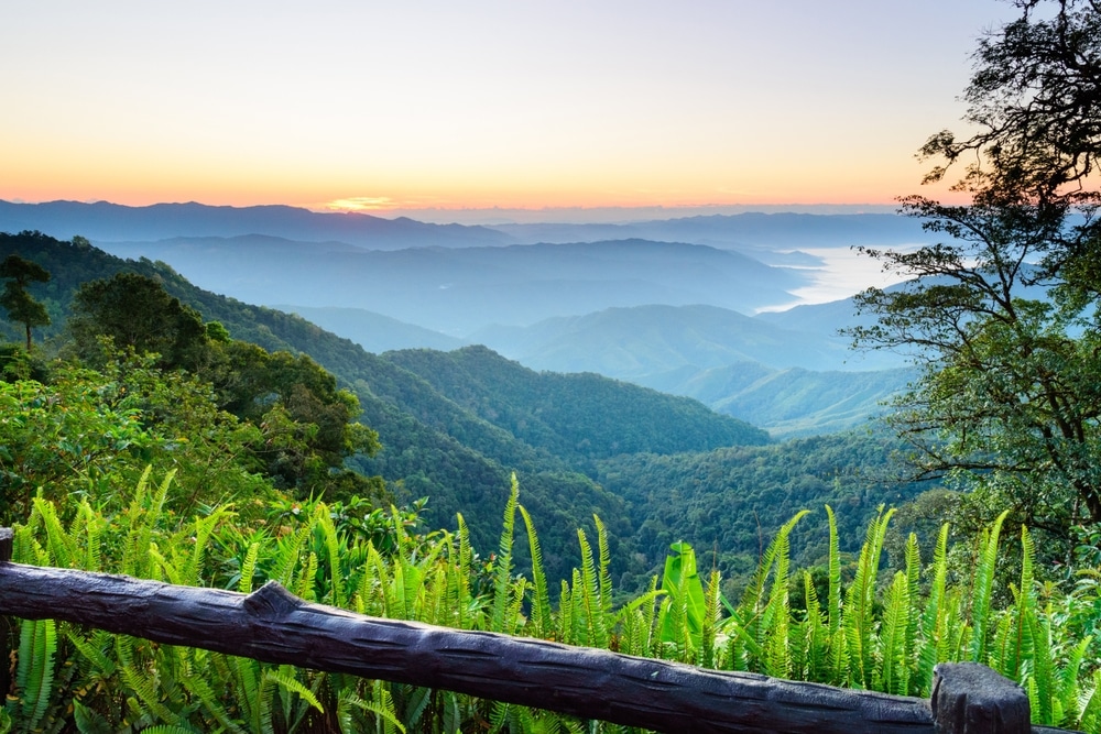 ภูเขาและหุบเขาสีเขียวใต้ท้องฟ้ายามรุ่งอรุณ พร้อมด้วยหมอกบางๆ ในระยะไกล และราวไม้กับต้นเฟิร์นในเบื้องหน้า — ฉากอันสงบนี้สะท้อนแก่นแท้ของการเที่ยวในจังหวัดน่าน ชวนคุณมาสำรวจหนึ่งในสถานที่ท่องเที่ยวที่สงบที่สุดของจังหวัดน่าน.