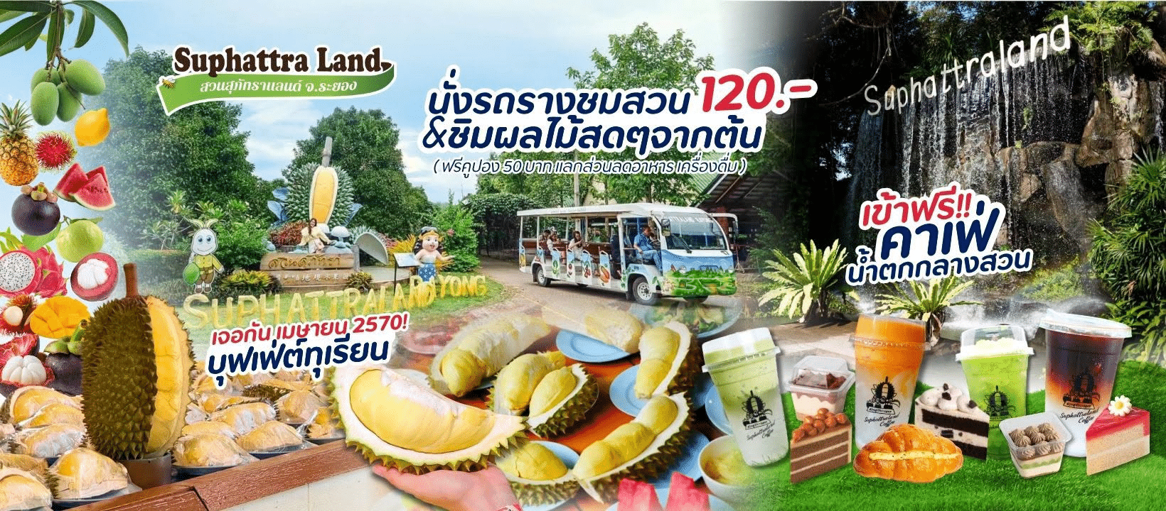 แบนเนอร์โฆษณาของ Suphattra Land แสดงภาพรถรางสำหรับทัวร์สวน ผลไม้เขตร้อน บุฟเฟต์ของหวาน และกาแฟเย็นฟรี พร้อมข้อความสีสันสดใสในภาษาไทยและภาพของสถานที่ท่องเที่ยวต่าง ๆ — เหมาะอย่างยิ่งสำหรับผู้ที่กำลังค้นหาระยองที่เที่ยว หรือ สถานที่ท่องเที่ยวระยองที่ไม่ควรพลาด.